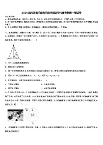 2026届四川省乐山市乐山外国语学校高考物理一模试卷含解析