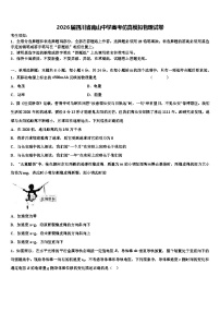 2026届四川省南山中学高考仿真模拟物理试卷含解析