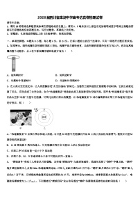 2026届四川省棠湖中学高考仿真卷物理试卷含解析