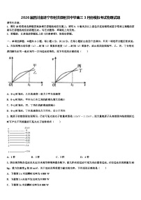2026届四川省遂宁市射洪县射洪中学高三3月份模拟考试物理试题含解析