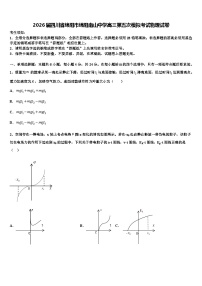 2026届四川省绵阳市绵阳南山中学高三第五次模拟考试物理试卷含解析