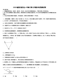 2026届四川省乐山一中高三第六次模拟考试物理试卷含解析