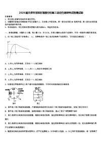 2026届天津市宝坻区等部分区高三适应性调研考试物理试题含解析