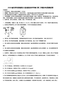 2026届天津市滨海新区大港油田实验中学高三第二次模拟考试物理试卷含解析