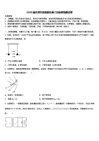 2026届天津市滨海新区高三压轴卷物理试卷含解析