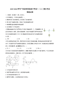 2025-2026学年广东省深圳高级中学高二（上）期末物理试卷（含答案）