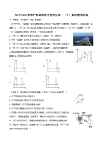 2025-2026学年广东省深圳市龙岗区高一（上）期末物理试卷（含解析）