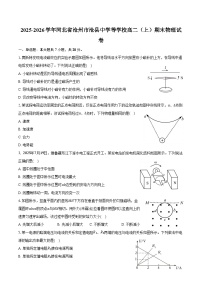 2025-2026学年河北省沧州市沧县中学等学校高二（上）期末物理试卷（含答案）
