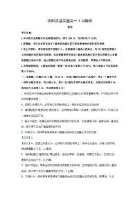 【物理】河南省洛阳市洛阳强基联盟2025-2026学年高一上学期1月月考试题（解析版+学生版）