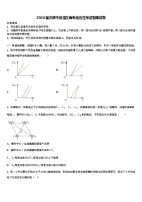 2026届天津市河北区高考适应性考试物理试卷含解析