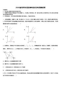2026届天津市河北区高考适应性考试物理试卷含解析