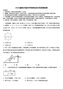 2026届通化市重点中学高考适应性考试物理试卷含解析