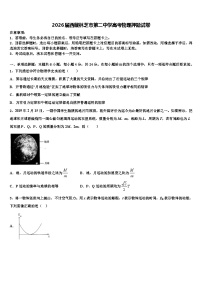 2026届西藏林芝市第二中学高考物理押题试卷含解析