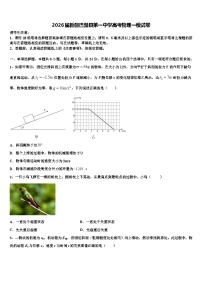 2026届新疆巴楚县第一中学高考物理一模试卷含解析