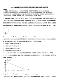 2026届西藏自治区拉萨市北京实验中学高考压轴卷物理试卷含解析