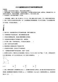 2026届西藏自治区林芝市高考物理押题试卷含解析