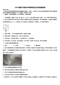 2026届咸宁市重点中学高考适应性考试物理试卷含解析