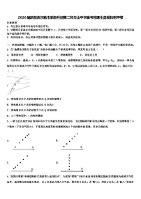 2026届新疆库尔勒市新疆兵团第二师华山中学高考物理全真模拟密押卷含解析
