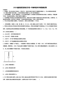 2026届新疆塔城地区沙湾一中高考临考冲刺物理试卷含解析