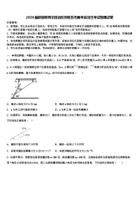 2026届新疆维吾尔自治区阿克苏市高考适应性考试物理试卷含解析