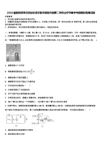2026届新疆维吾尔自治区库尔勒市新疆兵团第二师华山中学高考考前模拟物理试题含解析