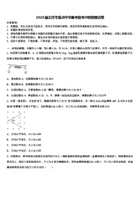 2026届云浮市重点中学高考临考冲刺物理试卷含解析