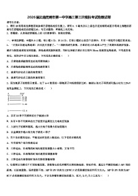 2026届云南昆明市第一中学高三第三次模拟考试物理试卷含解析