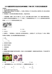 2026届新疆维吾尔自治区吐鲁番市高昌区二中高三第二次诊断性检测物理试卷含解析