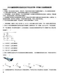 2026届新疆维吾尔自治区石河子市石河子第一中学高三压轴卷物理试卷含解析