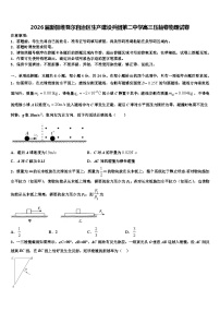 2026届新疆维吾尔自治区生产建设兵团第二中学高三压轴卷物理试卷含解析