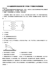 2026届新疆维吾尔自治区喀什第二中学高三下学期联合考试物理试题含解析