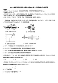 2026届新疆维阿克苏市高级中学高三第二次模拟考试物理试卷含解析