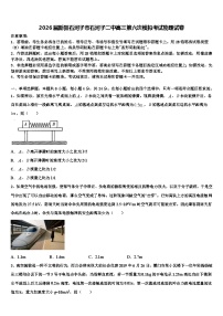 2026届新疆石河子市石河子二中高三第六次模拟考试物理试卷含解析