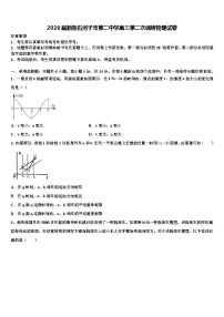 2026届新疆石河子市第二中学高三第二次调研物理试卷含解析