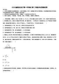 2026届新疆石河子第一中学高三第二次模拟考试物理试卷含解析