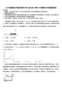 2026届新疆生产建设兵团农八师一四三团一中高三下学期第六次检测物理试卷含解析