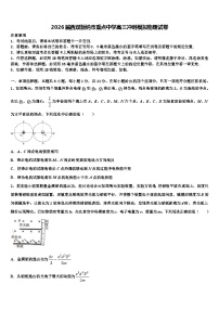 2026届西双版纳市重点中学高三冲刺模拟物理试卷含解析