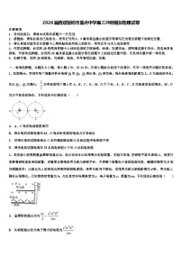 2026届西双版纳市重点中学高三冲刺模拟物理试卷含解析