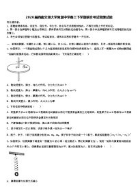 2026届西南交通大学附属中学高三下学期联合考试物理试题含解析