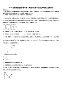 2026届西藏自治区林芝市第二高级中学高三适应性调研考试物理试题含解析