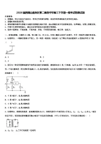 2026届西藏山南地区第二高级中学高三下学期一模考试物理试题含解析