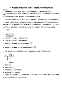 2026届西藏拉萨北京实验中学高三下学期第五次调研考试物理试题含解析