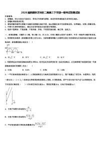 2026届西藏林芝地区二高高三下学期一模考试物理试题含解析