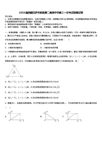 2026届西藏拉萨市那曲第二高级中学高三一诊考试物理试卷含解析
