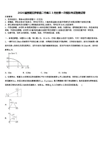 2026届西藏拉萨那曲二中高三3月份第一次模拟考试物理试卷含解析