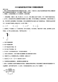 2026届武威市重点中学高三冲刺模拟物理试卷含解析