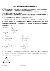 2026届武汉外国语学校高三压轴卷物理试卷含解析