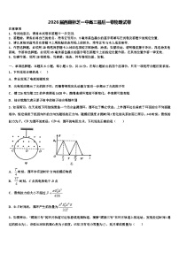 2026届西藏林芝一中高三最后一卷物理试卷含解析