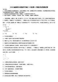 2026届温州乐成寄宿中学高三3月份第一次模拟考试物理试卷含解析