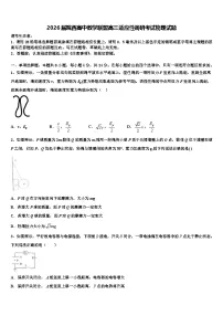 2026届皖西高中教学联盟高三适应性调研考试物理试题含解析
